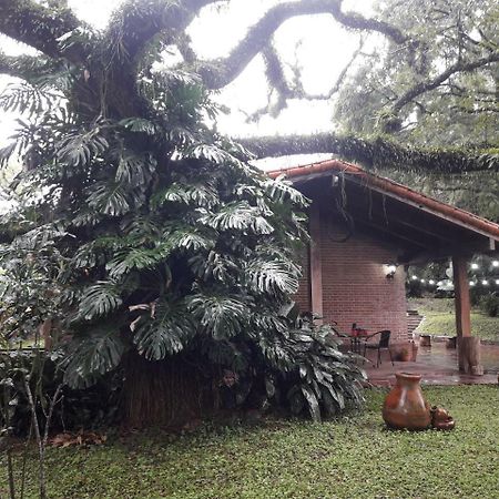 Terrazas Del Coya Hostel ซานซัลวาดอร์ เด โฆคุย ภายนอก รูปภาพ