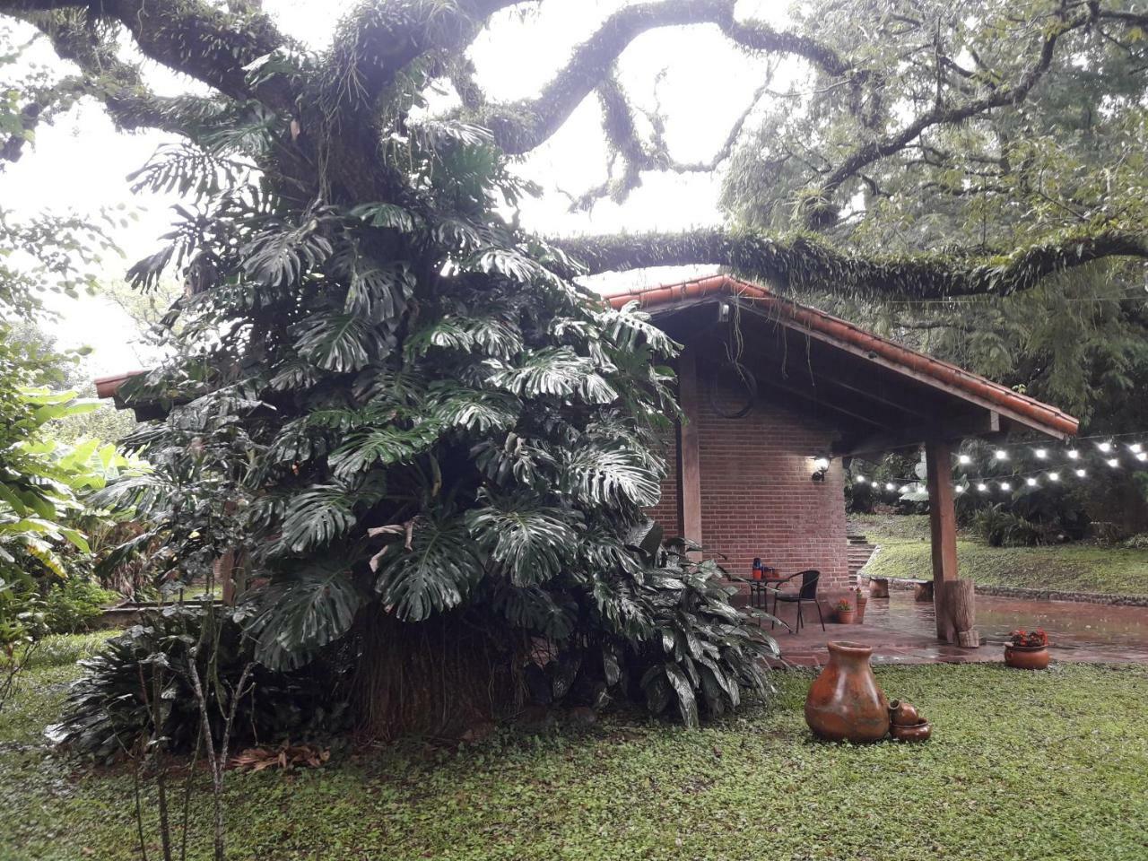Terrazas Del Coya Hostel ซานซัลวาดอร์ เด โฆคุย ภายนอก รูปภาพ