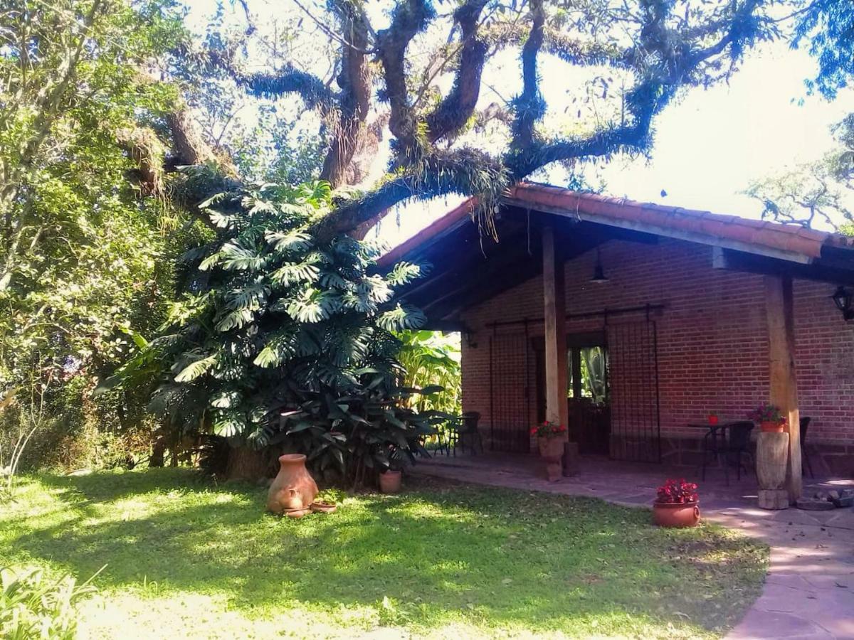 Terrazas Del Coya Hostel ซานซัลวาดอร์ เด โฆคุย ภายนอก รูปภาพ